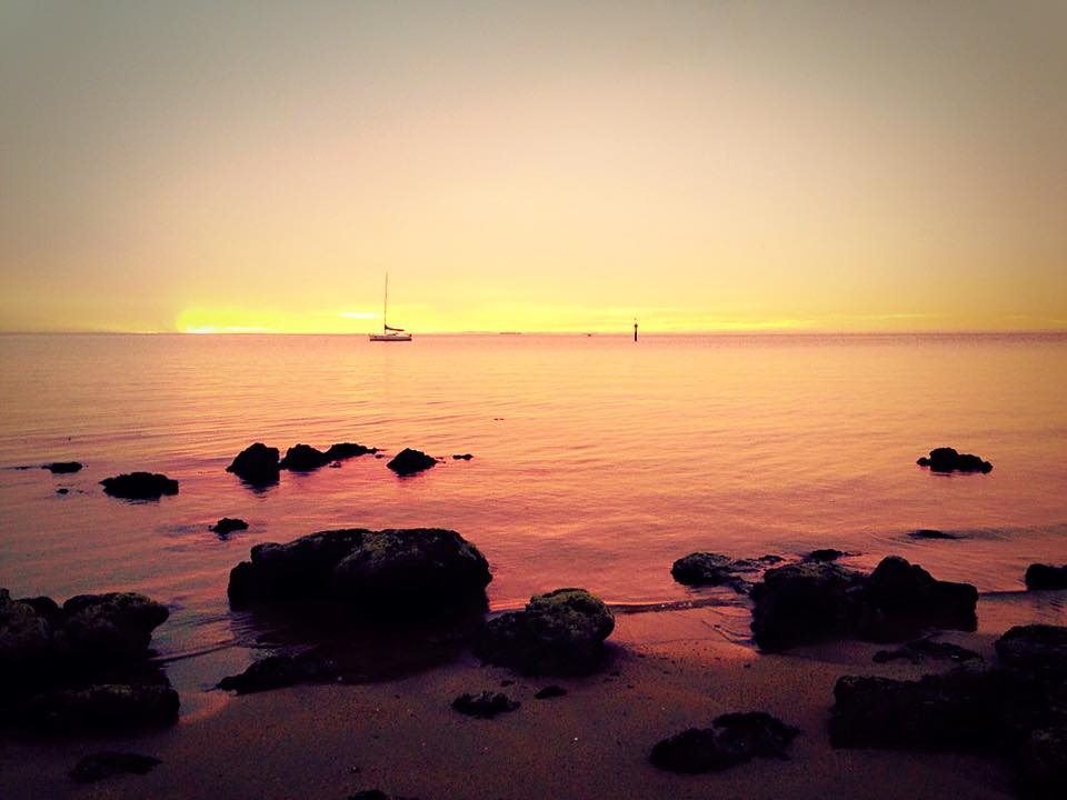 12728940_10153314616307617_2135933775195956825_n