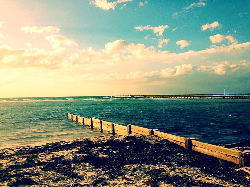 13178557_10153502015042617_9220132387357246480_n-1