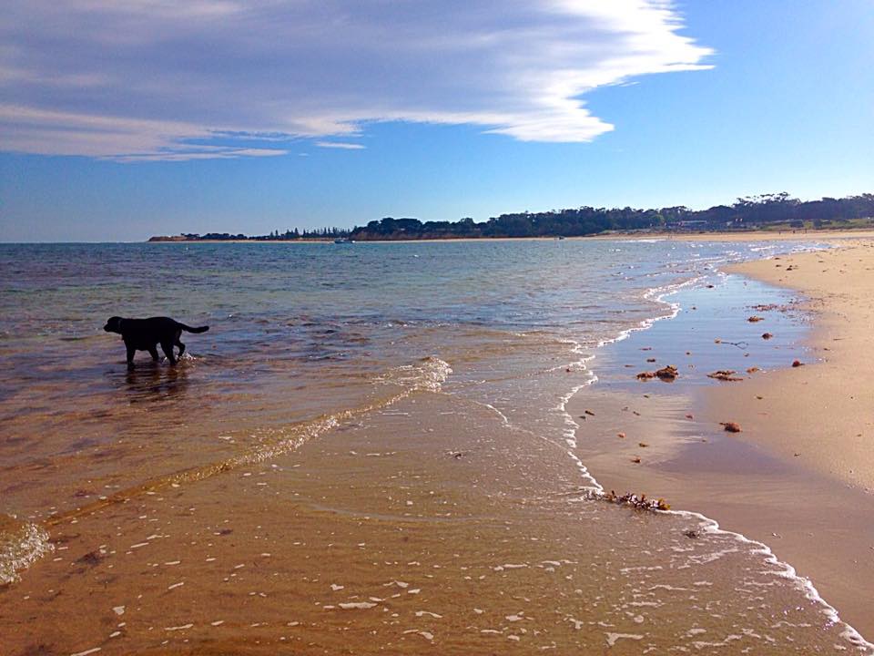 15319070_10153978729842617_4618403670014633404_n