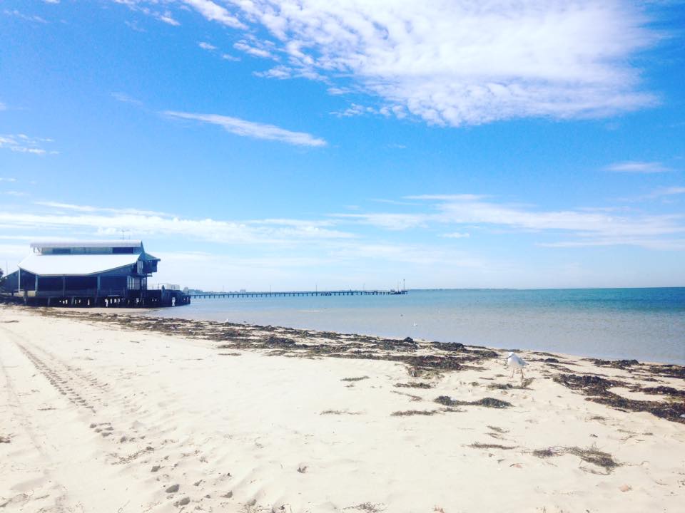 16603094_10154195515547617_7048427845693070214_n