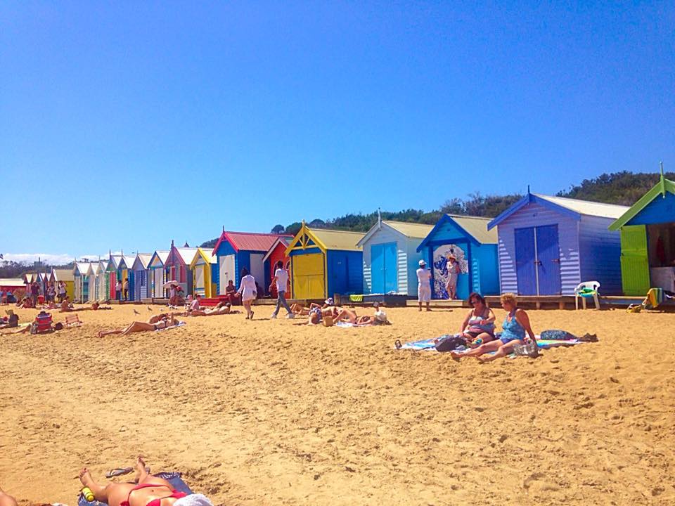 16996157_10154229226972617_4915799084566740125_n