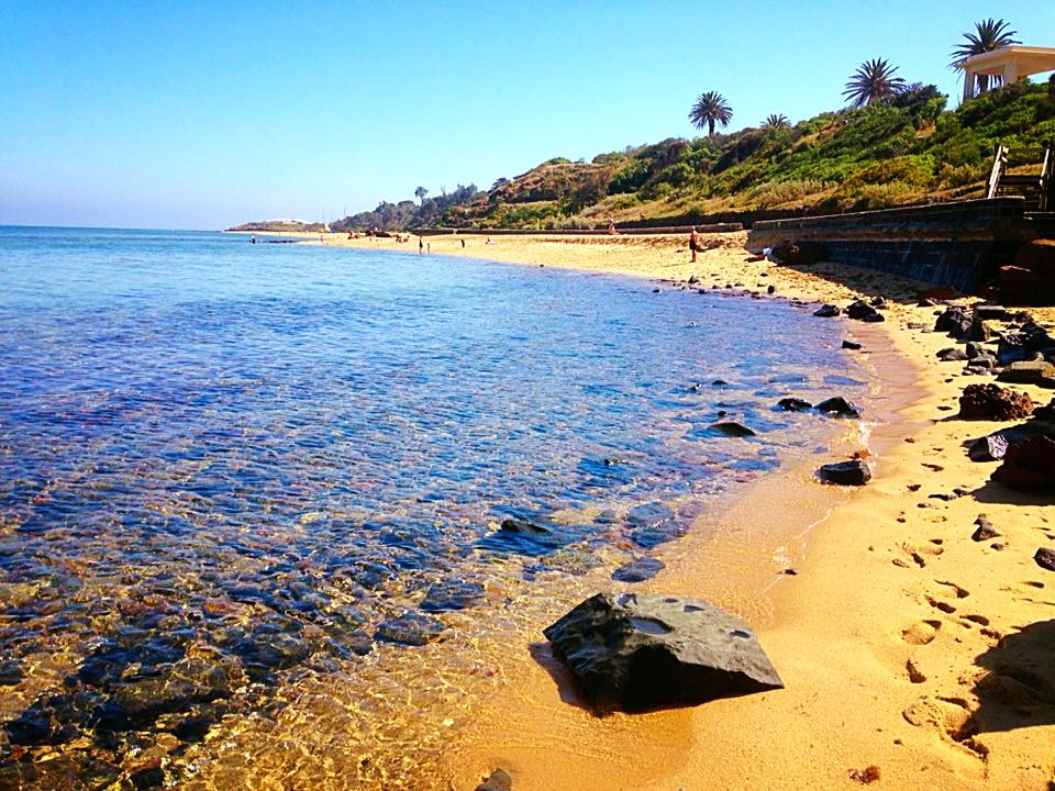 17264832_10154270651237617_3044248189885802026_n